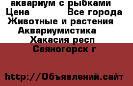 аквариум с рыбками › Цена ­ 1 000 - Все города Животные и растения » Аквариумистика   . Хакасия респ.,Саяногорск г.